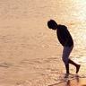 一比一原版维特尔波大学学位证【degxx.com】